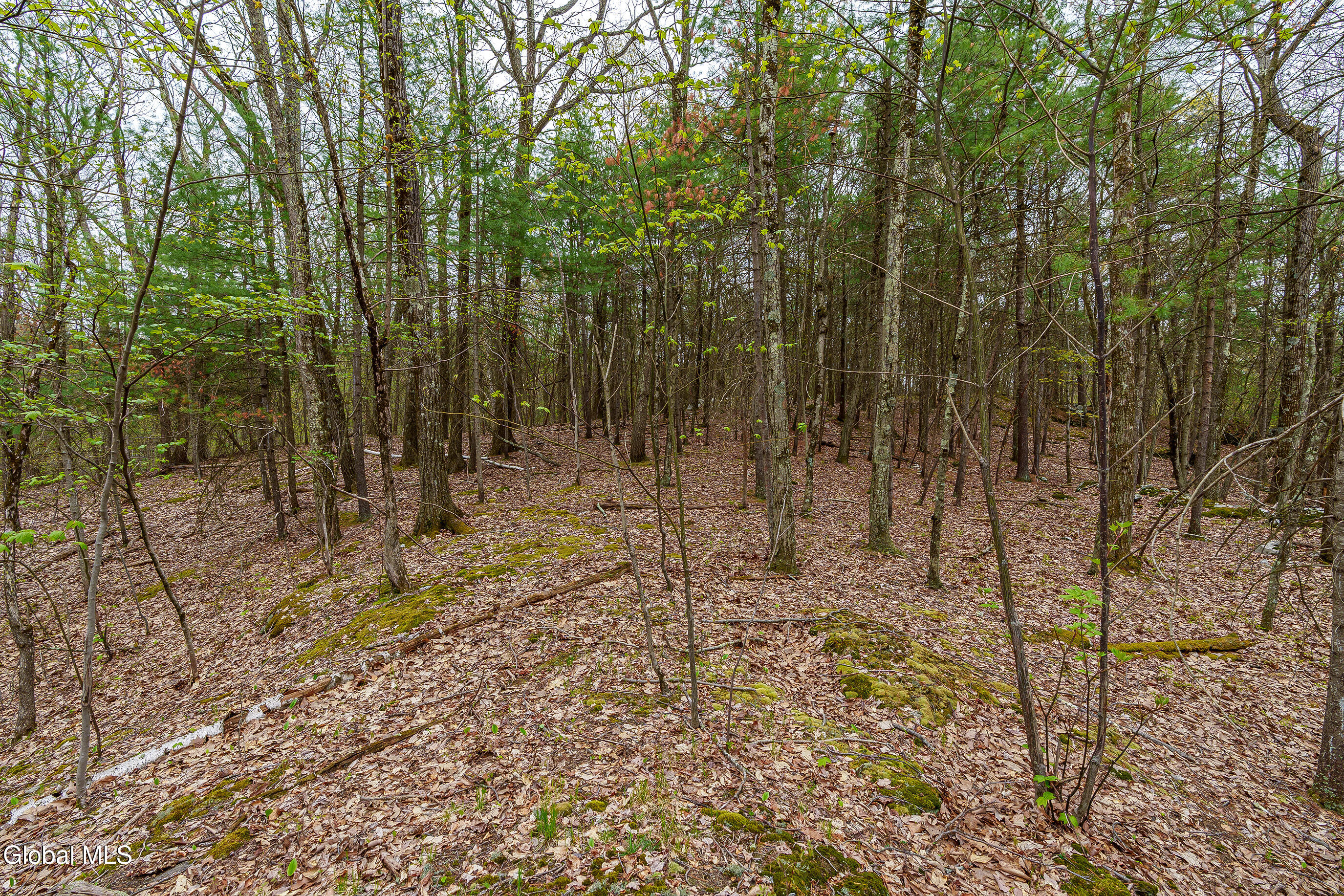 83 Maschodack Road Nassau, NY 12123 - Photo 14 of 26 020-Mashodack-Rd-Nassau-NY-12123