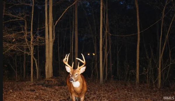 $499,000 | 5105 East State Road 14, Claypool, IN 46510