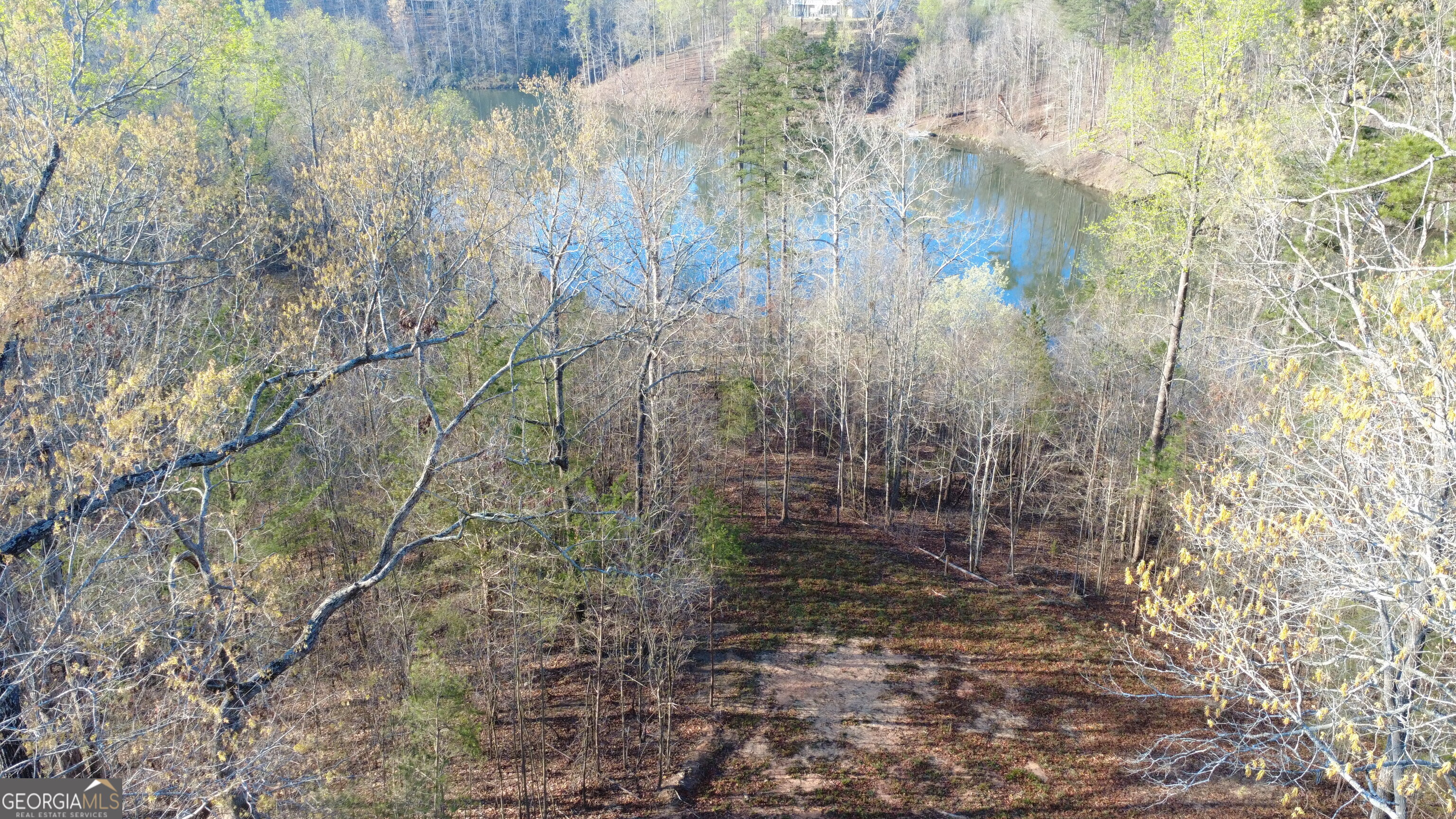 0 Purvis Road Baldwin, GA 30511 - Photo 4 of 14 Gallery Image 4