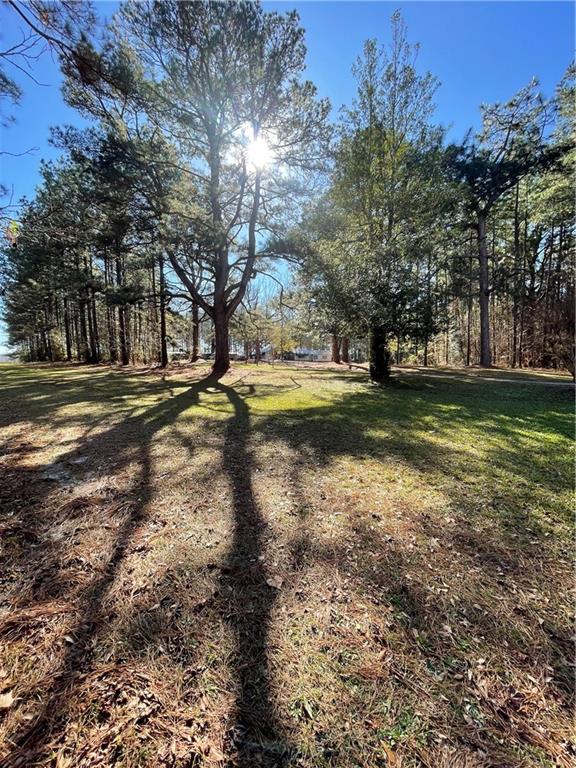 406 Clifford Williams Road Saline, LA 71070 - Photo 3 of 48 Gallery Image 3