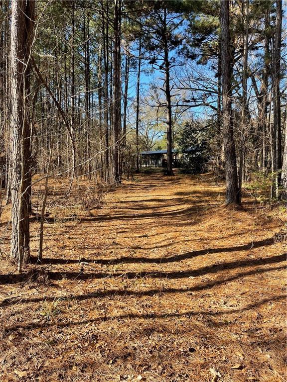 406 Clifford Williams Road Saline, LA 71070 - Photo 33 of 48 Gallery Image 33