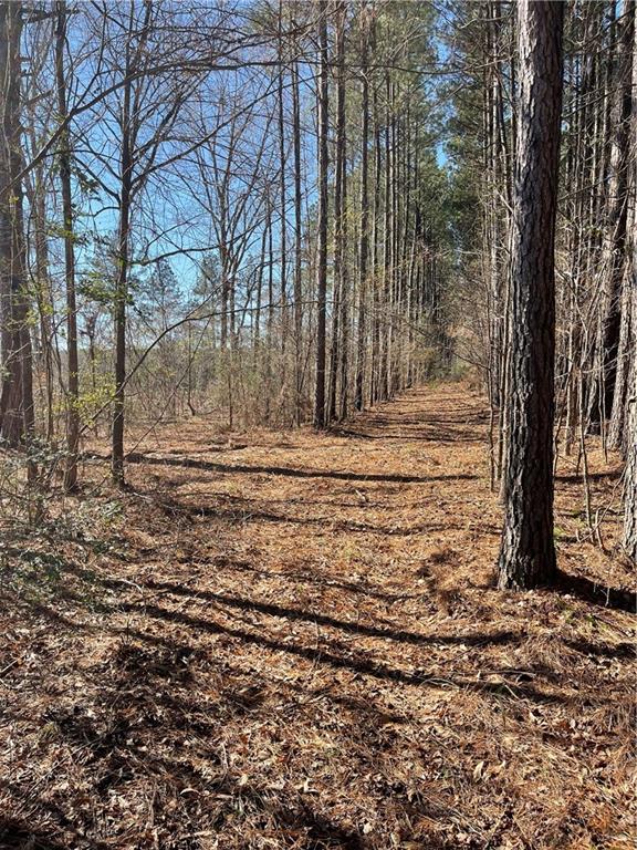 406 Clifford Williams Road Saline, LA 71070 - Photo 34 of 48 Gallery Image 34