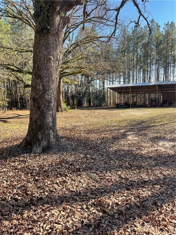 406 Clifford Williams Road Saline, LA 71070 - Photo 4 of 48 Gallery Image 4