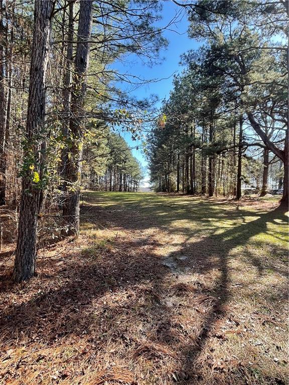 406 Clifford Williams Road Saline, LA 71070 - Photo 41 of 48 Gallery Image 41