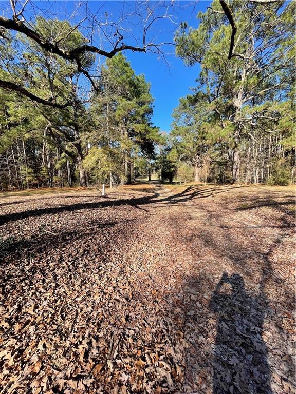 406 Clifford Williams Road Saline, LA 71070 - Photo 7 of 48 Gallery Image 7