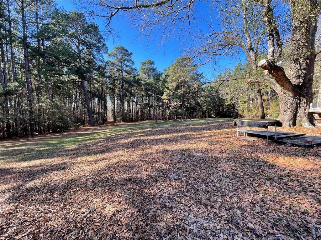 406 Clifford Williams Road Saline, LA 71070 - Photo 10 of 48 Gallery Image 10