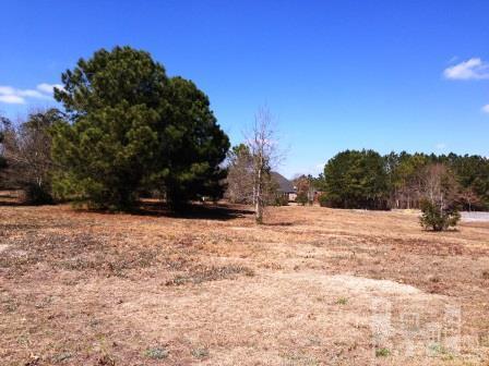 5 Crane Pointe Road Hampstead, NC 28443 - Photo 2 of 13 Additional Photo