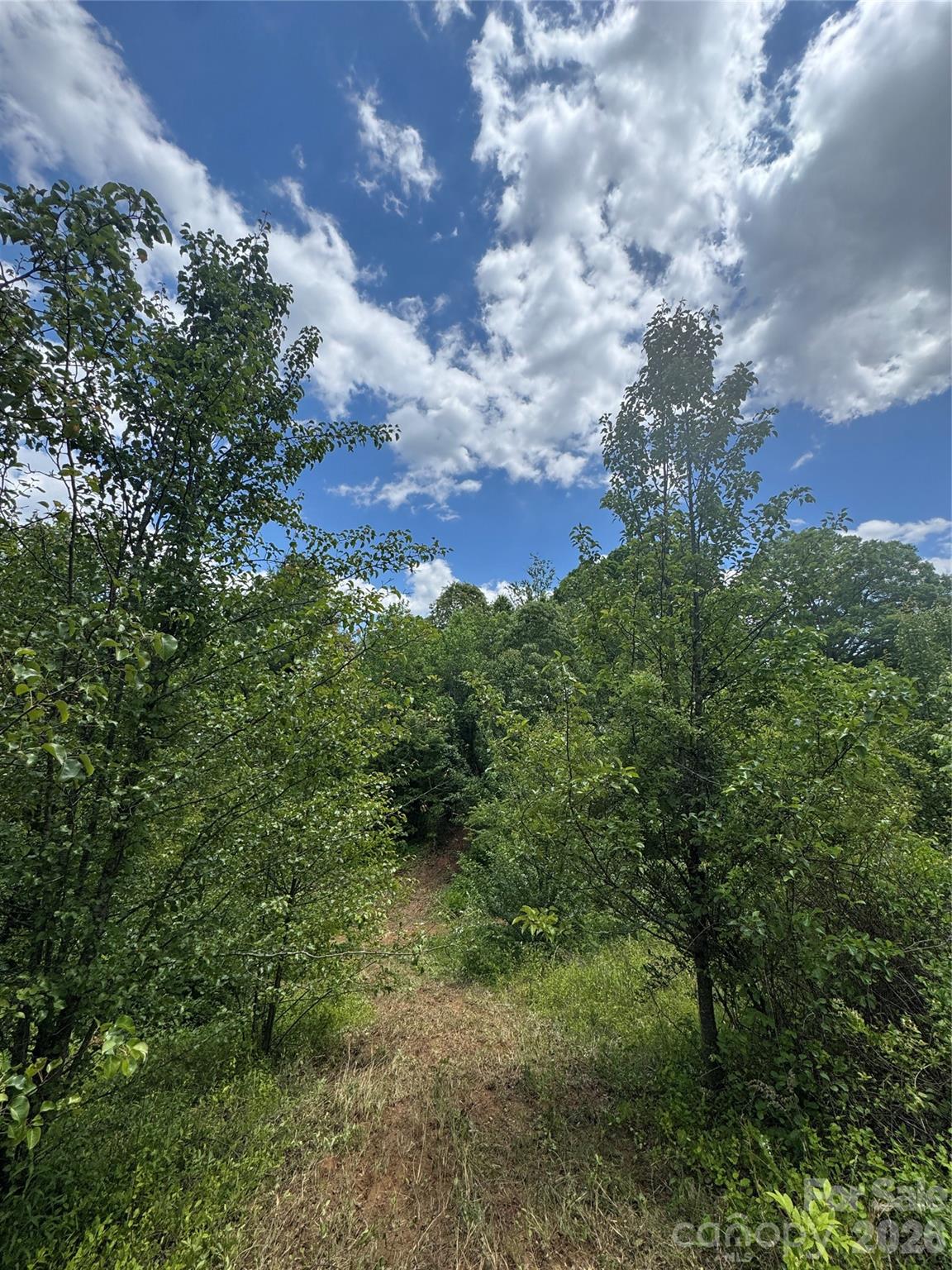 Tbd Duckett Road Candler, NC 28715 - Photo 10 of 17