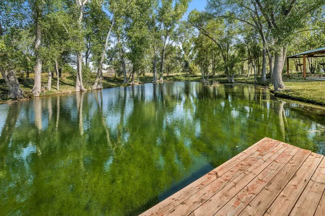 a view of a back yard