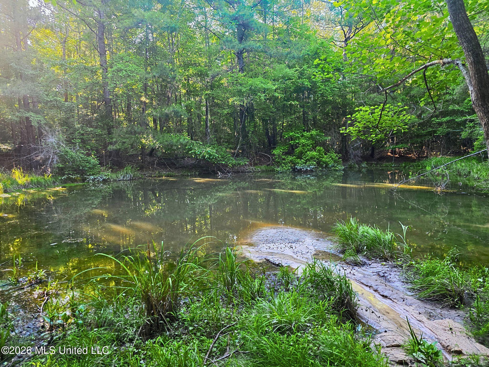 Hamilton Road Prentiss, MS 39474 - Photo 2 of 32 33646