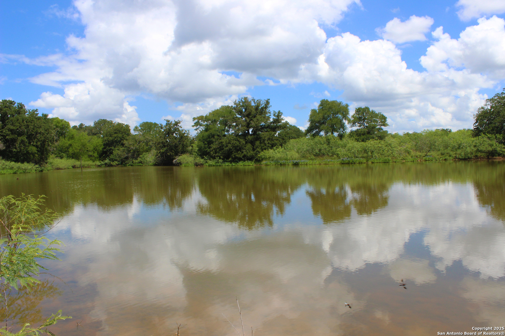 a view of a lake with houses in the back