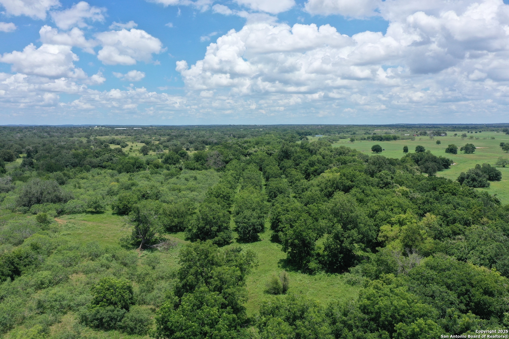 0 County Rd 240 Harwood, TX 78632 - Photo 12 of 34 a view of a bunch of trees