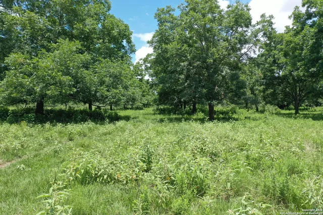 an aerial view of residential house with outdoor space and trees all around