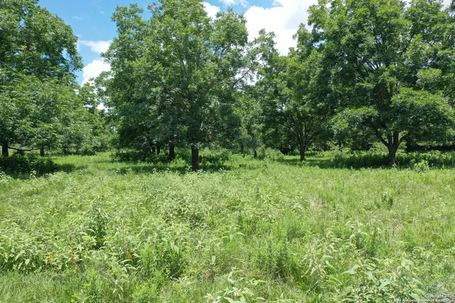 a big yard with lots of green space and deers