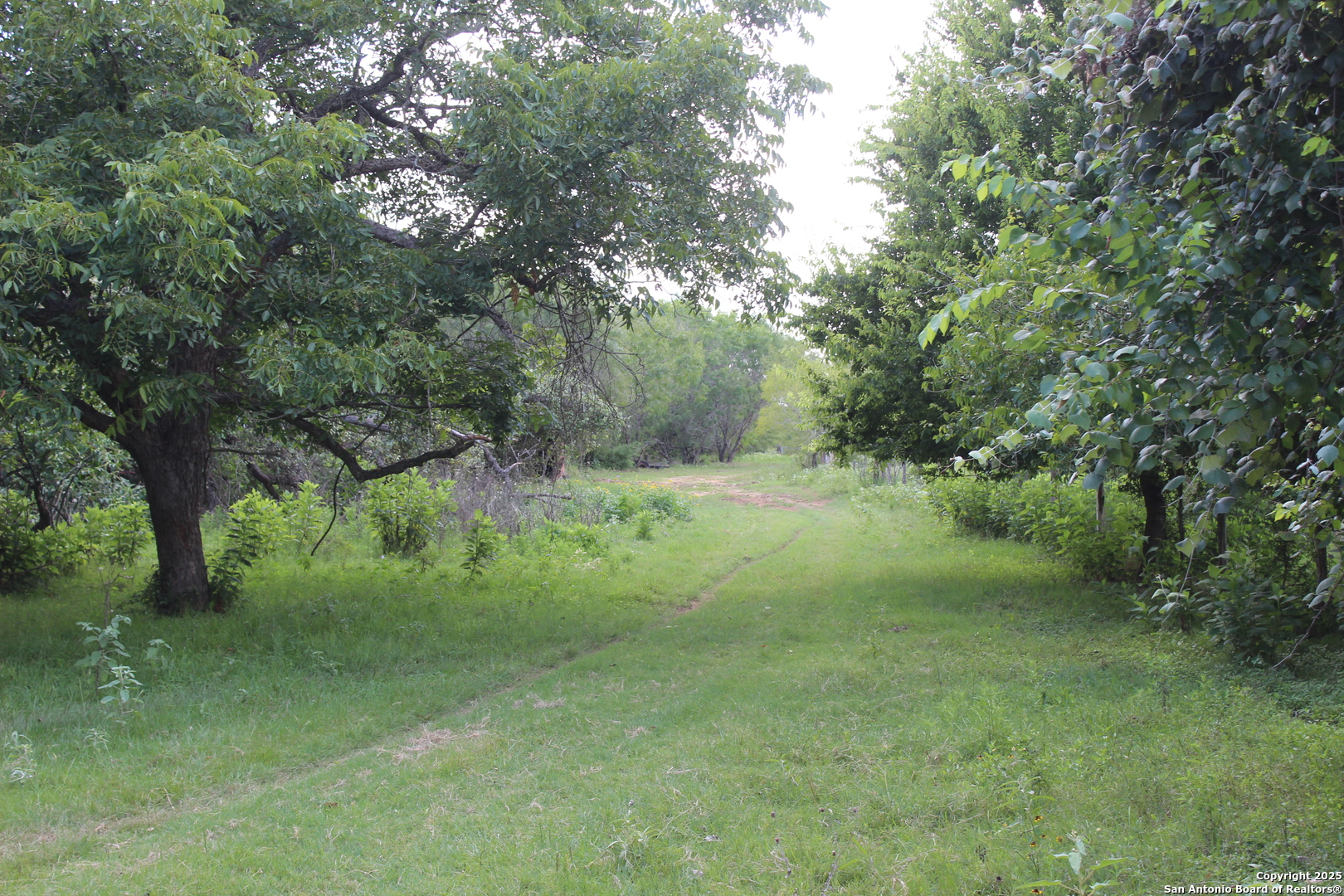 0 County Rd 240 Harwood, TX 78632 - Photo 16 of 34 a big yard with lots of green space and deers