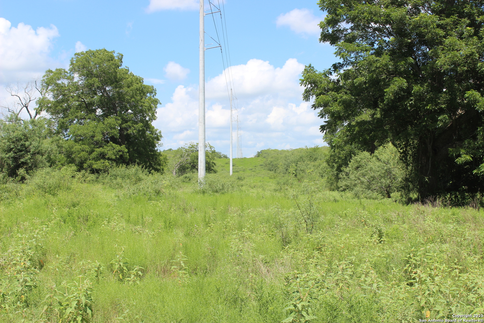 0 County Rd 240 Harwood, TX 78632 - Photo 18 of 34 a view of a garden