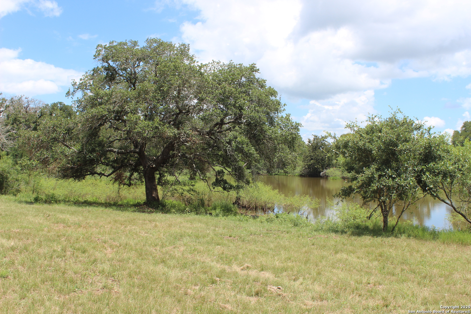0 County Rd 240 Harwood, TX 78632 - Photo 24 of 34