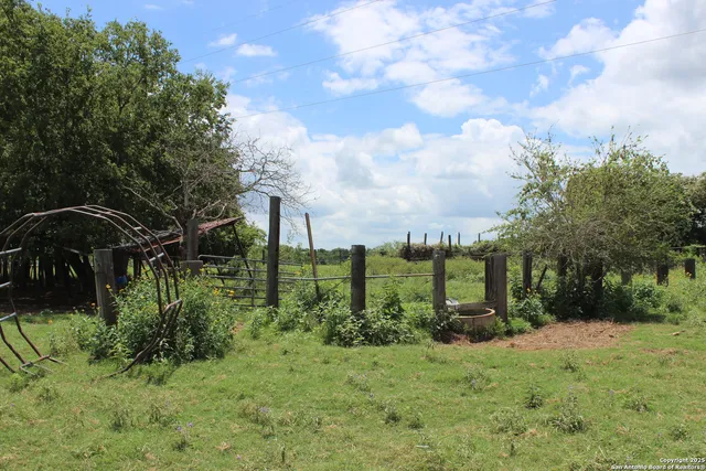 a view of a lake with large trees