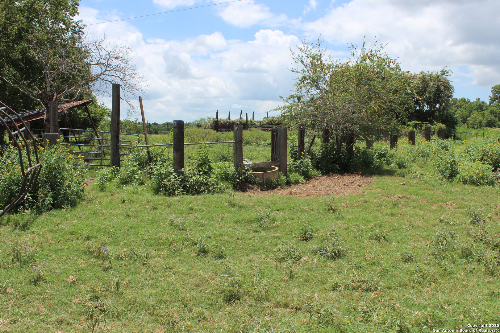 0 County Rd 240 Harwood, TX 78632 - Photo 29 of 34 a view of a garden