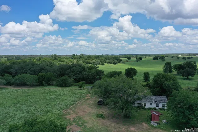 a view of a garden with a lake