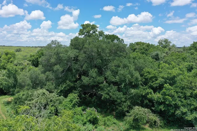 a view of a field of grass and trees