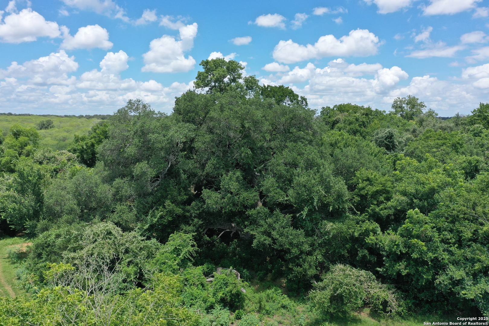 0 County Rd 240 Harwood, TX 78632 - Photo 7 of 34