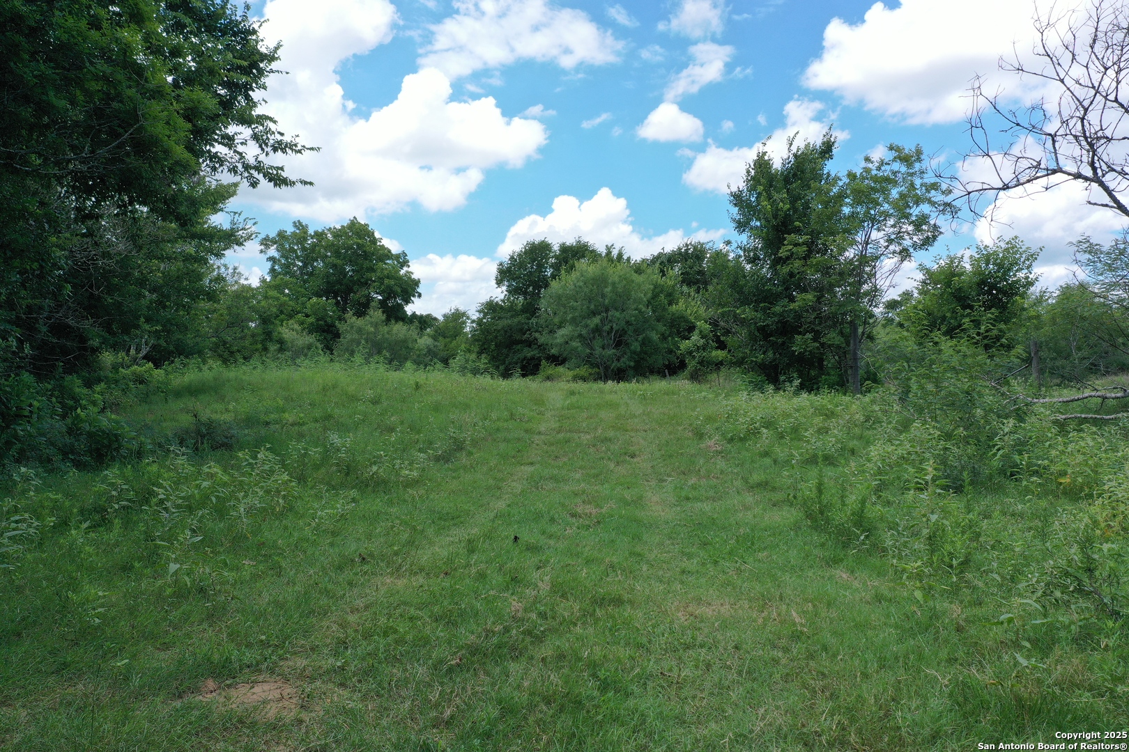0 County Rd 240 Harwood, TX 78632 - Photo 8 of 34 a view of a grassy field with trees