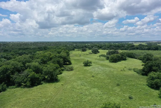 a view of a city with lush green forest