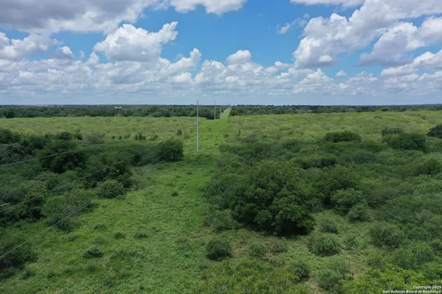 a view of a bunch of trees
