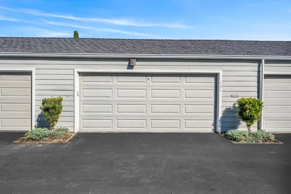 a view of backyard and potted plants