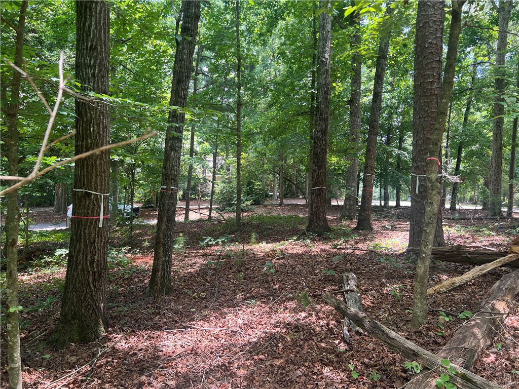 0 Promontory Ridge, Unit LOT 45 STILLWATER Seneca, SC 29672 - Photo 16 of 26