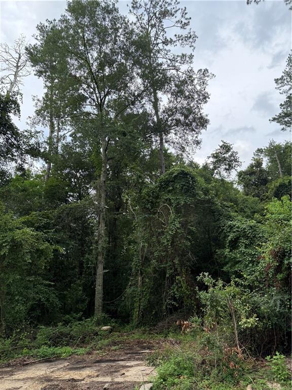 Lot 5 East Pleasant Ridge Road Hammond, LA 70403 - Photo 1 of 5 Gallery Image 1