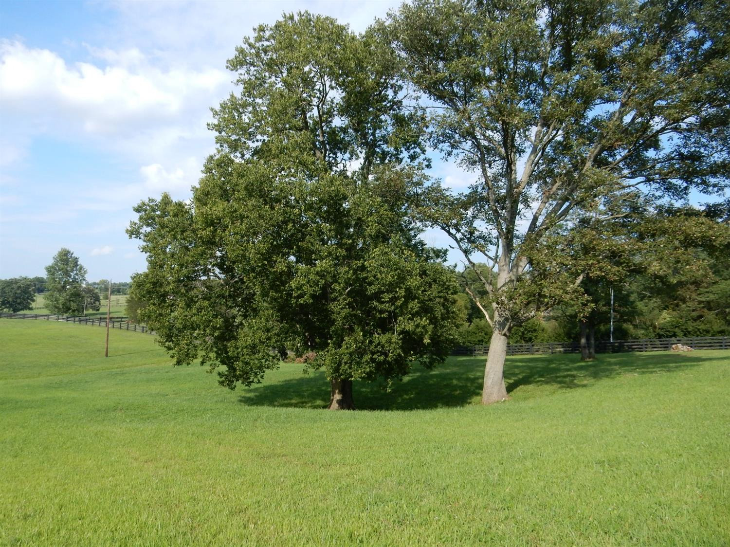 3293 McClure Road Winchester, KY 40391 - Photo 58 of 68 Photo 58
