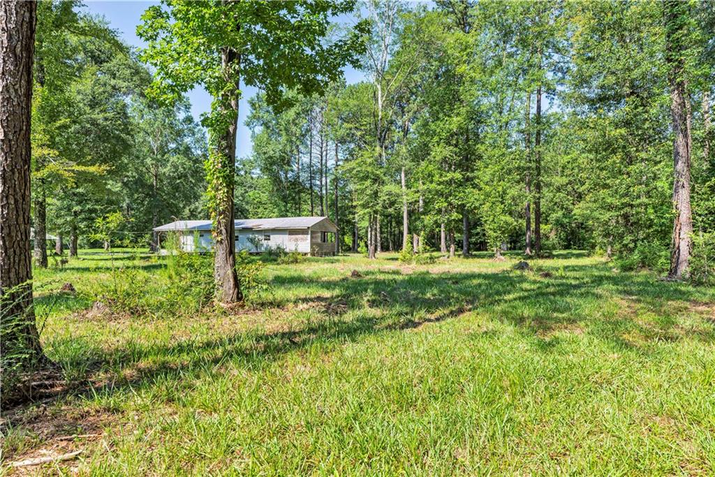 138 Goodman Road Glenmora, LA 71433 - Photo 12 of 44 Gallery Image 12