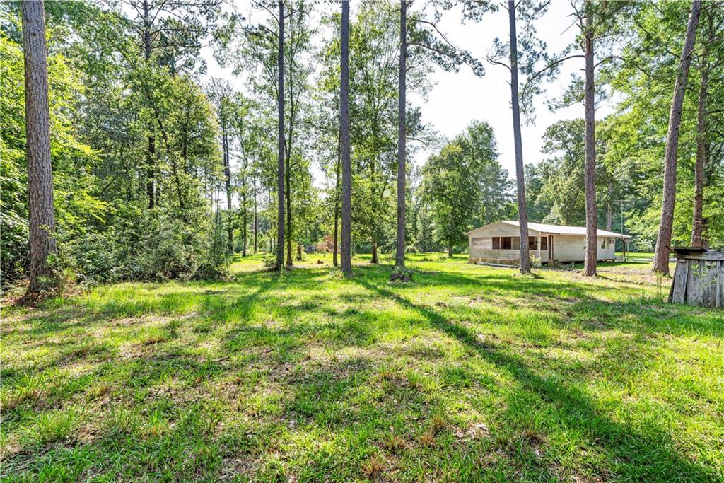 138 Goodman Road Glenmora, LA 71433 - Photo 14 of 44 Gallery Image 14