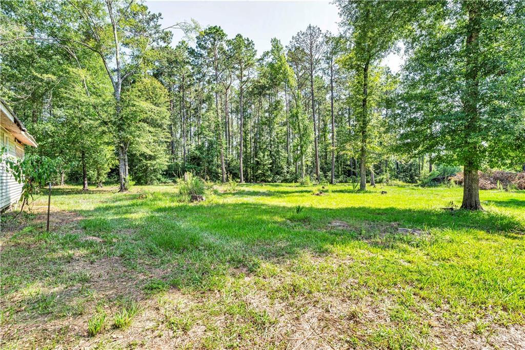 138 Goodman Road Glenmora, LA 71433 - Photo 18 of 44 Gallery Image 18