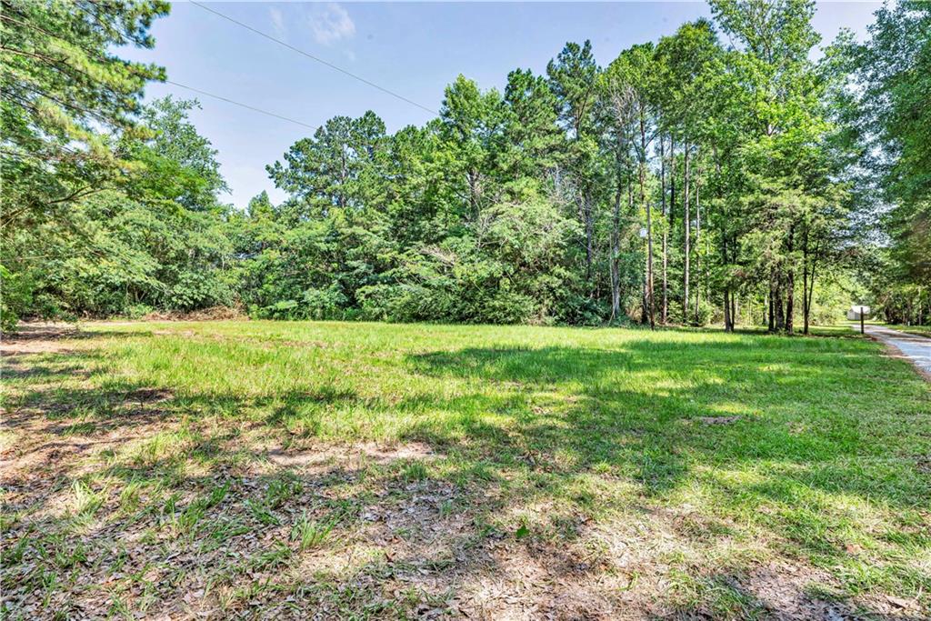 138 Goodman Road Glenmora, LA 71433 - Photo 28 of 44 Gallery Image 28