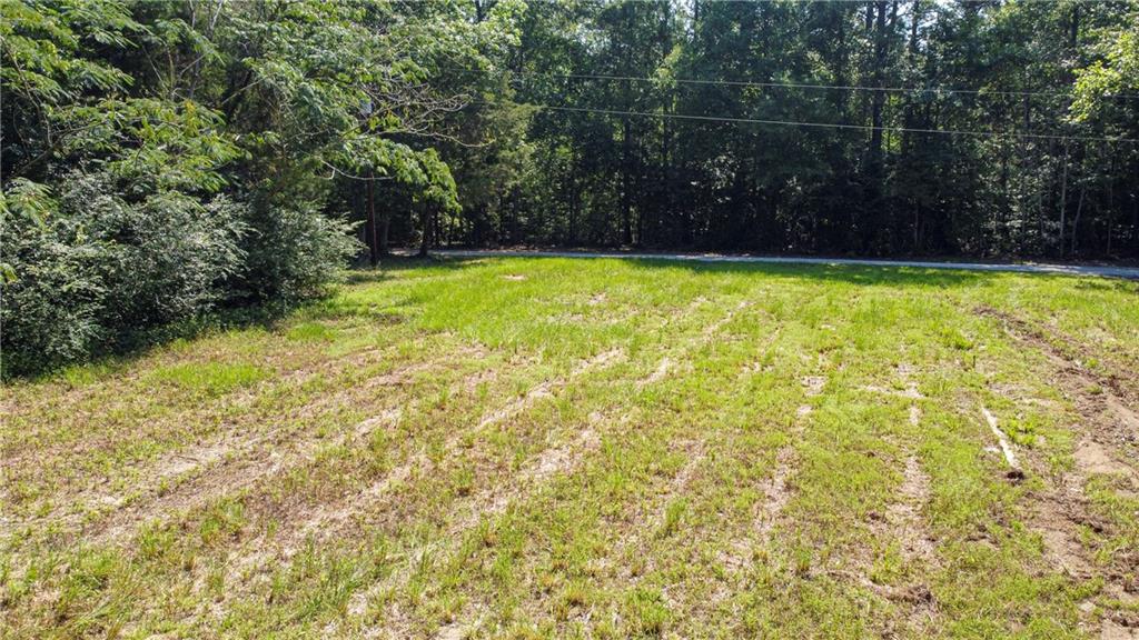 138 Goodman Road Glenmora, LA 71433 - Photo 4 of 44 Gallery Image 4
