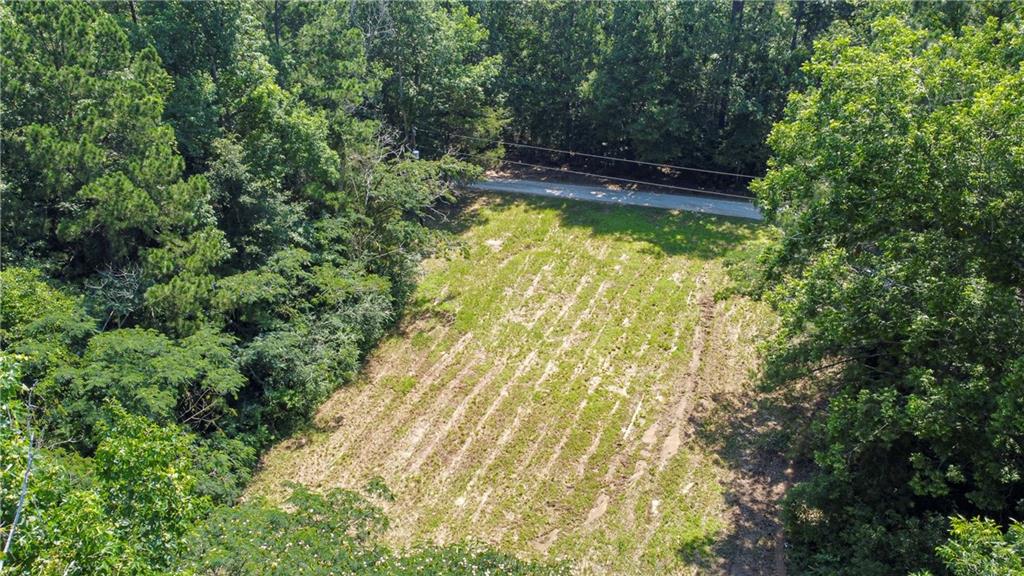 138 Goodman Road Glenmora, LA 71433 - Photo 9 of 44 Gallery Image 9