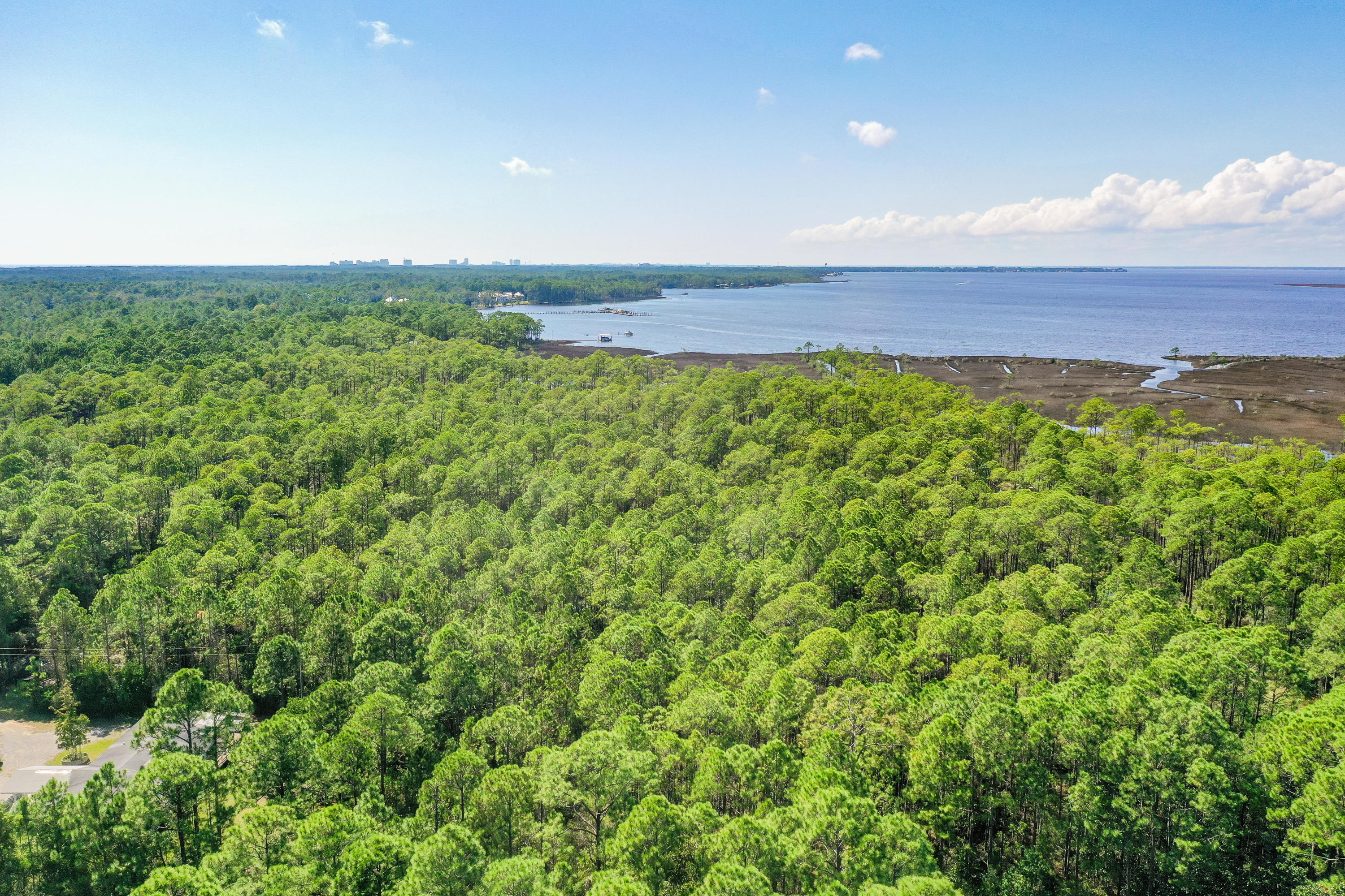 Lot 3 North 15th Street Santa Rosa Beach, FL 32459 - Photo 14 of 18 a view of a big yard with plants and large trees