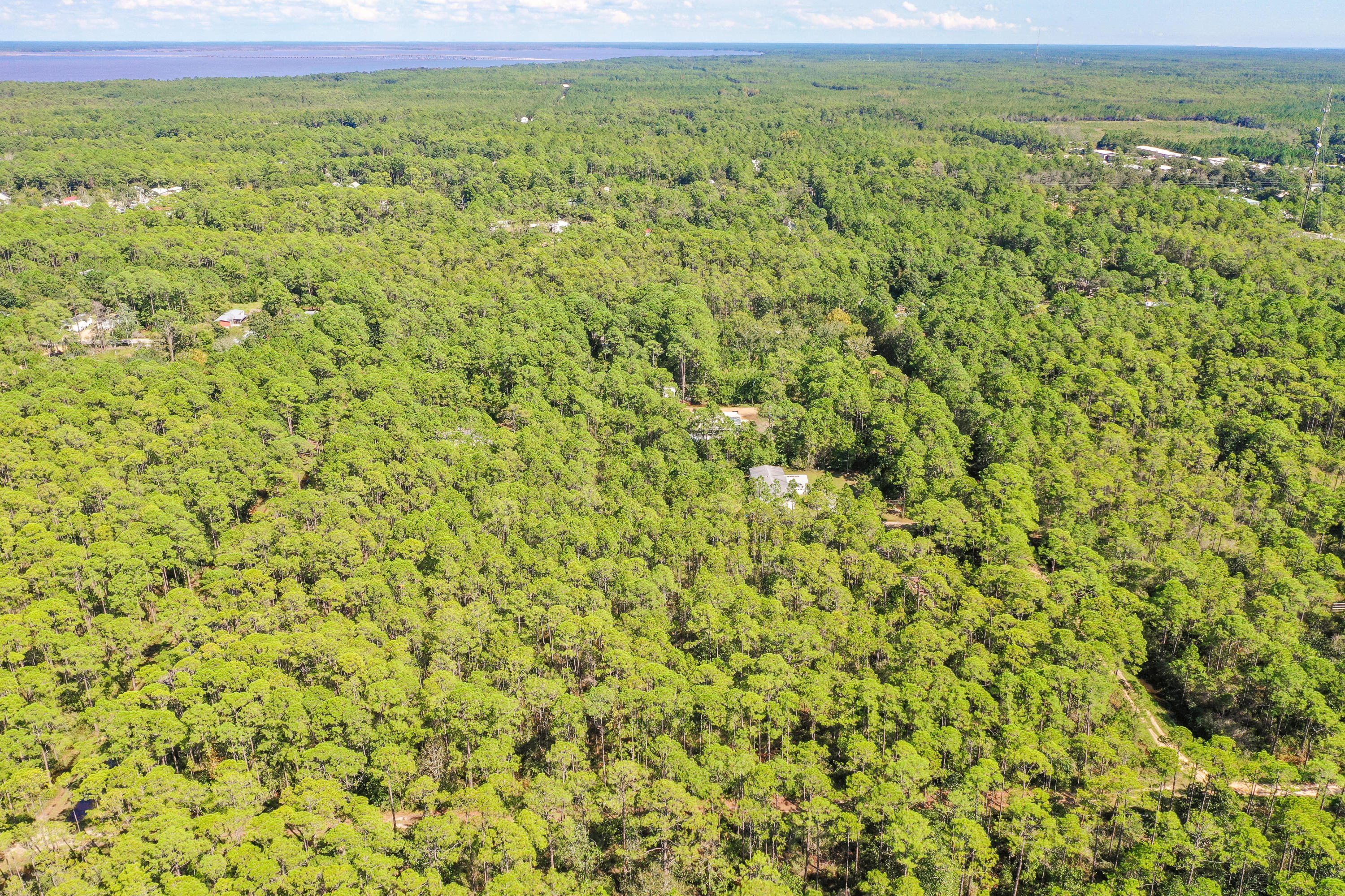 Lot 3 North 15th Street Santa Rosa Beach, FL 32459 - Photo 17 of 18 a view of a field with an trees