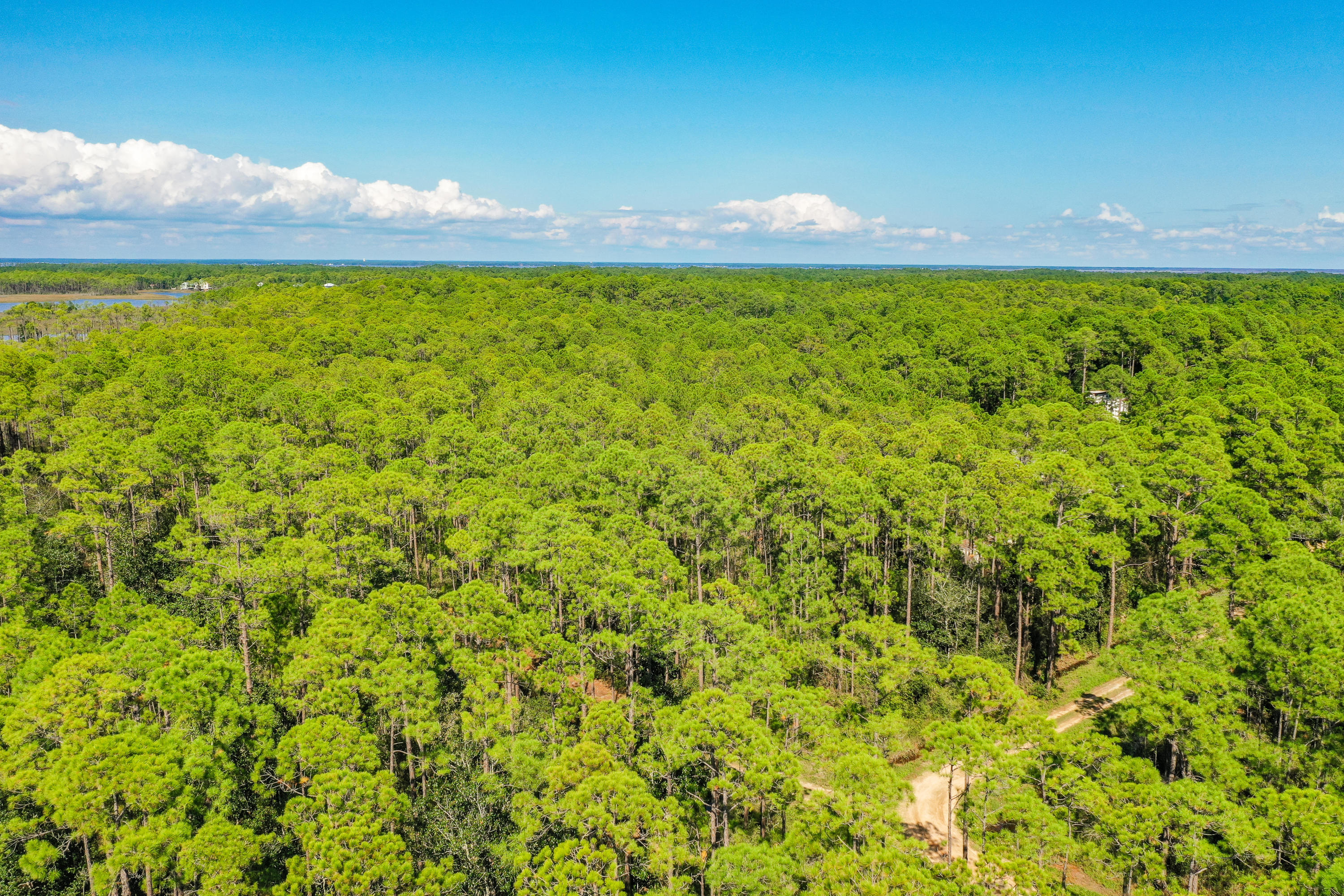 Lot 3 North 15th Street Santa Rosa Beach, FL 32459 - Photo 18 of 18 a view of a yard with an outdoor space