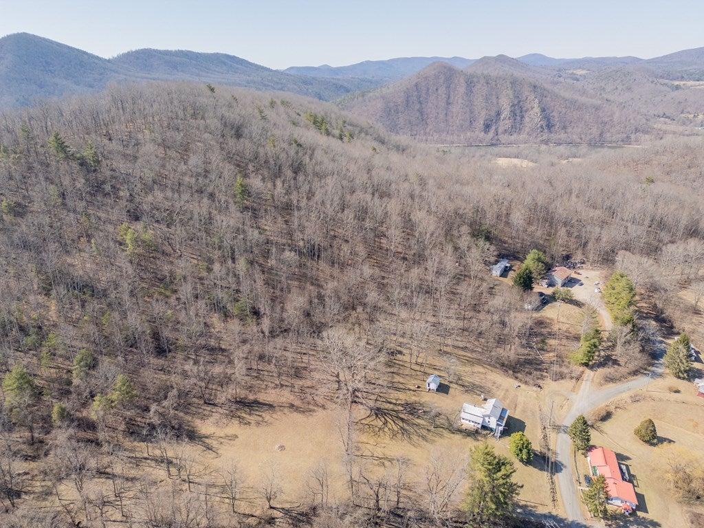 2161 Loafers Rest Road Austinville, VA 24312 - Photo 86 of 96 Gallery Image 86