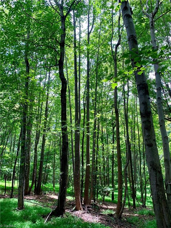 1698 Highway 770 Sandy Ridge, NC 27046 - Photo 11 of 16 Gallery Image 11