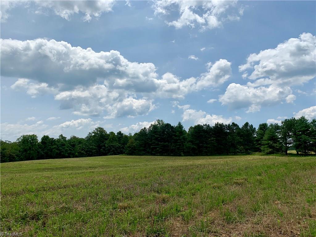 1698 Highway 770 Sandy Ridge, NC 27046 - Photo 4 of 16 Gallery Image 4
