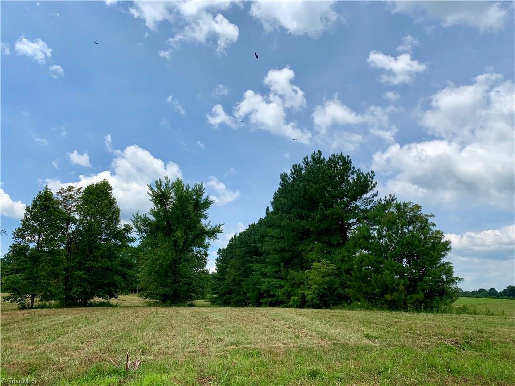 1698 Highway 770 Sandy Ridge, NC 27046 - Photo 8 of 16 Gallery Image 8