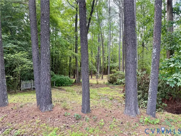 $60,000 | Tbd Chester Drive, Disputanta, VA 23842