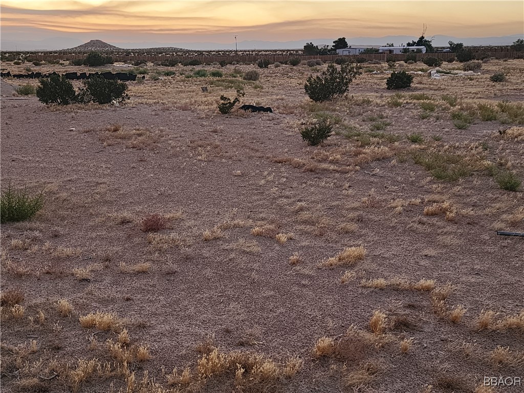 47701 Palma Vista Road Newberry Springs, CA 92365 - Photo 4 of 9