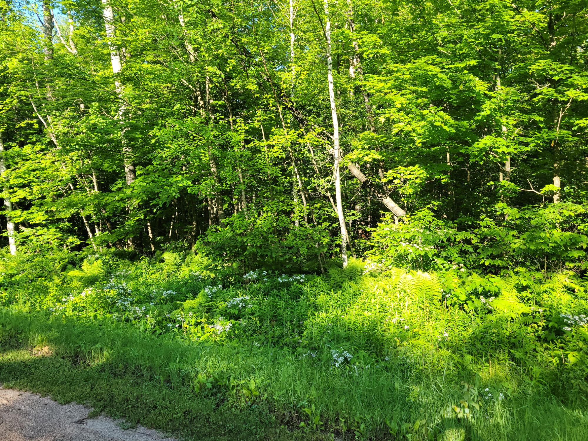 On Kentwoods Road, Unit LOT 12 Bryant, WI 54418 - Photo 1 of 3 Gallery Image 1
