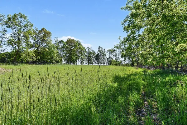 $400,000 | 0 East Charles Road, Ionia, MI 48846